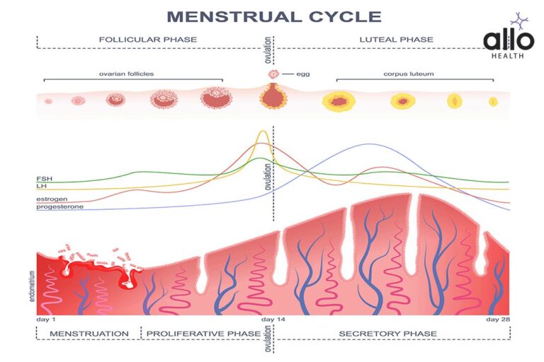 [Dr. Sushma Venkatesh] - 7 Acupressure Points To Get Periods ...